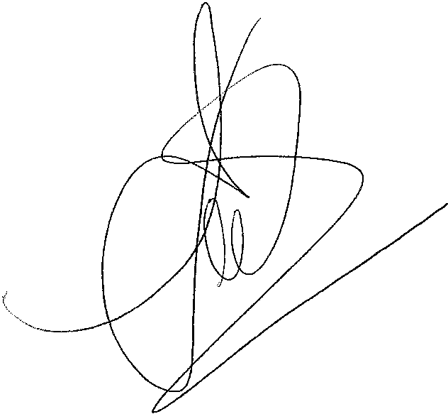 Director Manager's Signature